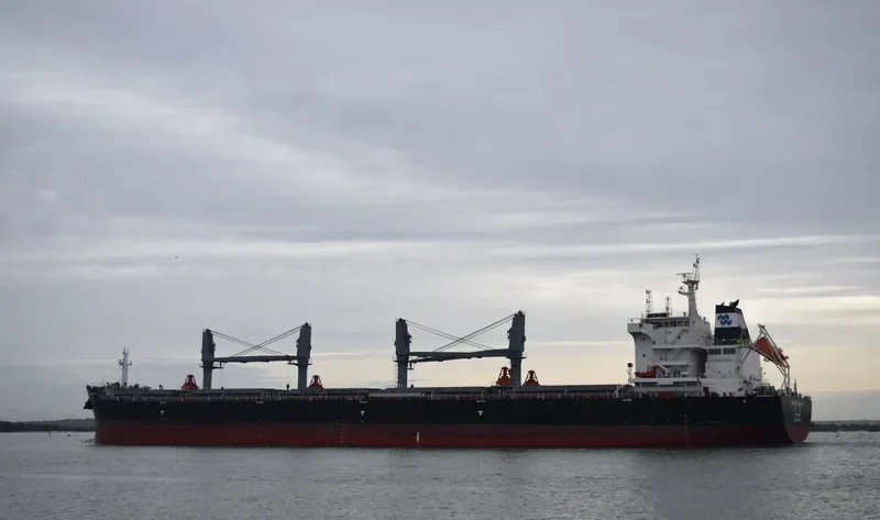 PACIFIC WEALTH Bulk Carrier IMO 9731975