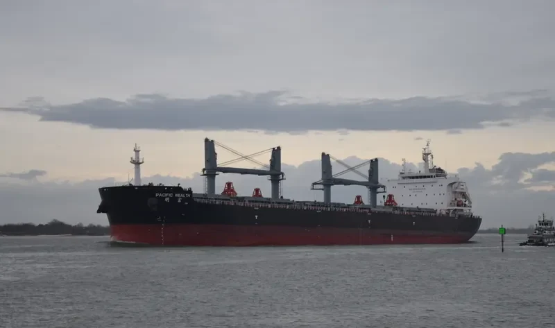 PACIFIC WEALTH Bulk Carrier IMO 9731975 photo 2
