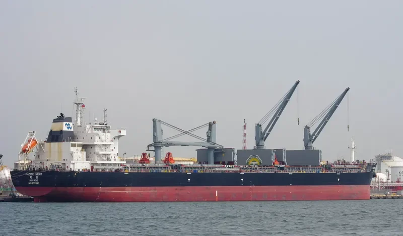 PACIFIC MERIT Bulk Carrier IMO 9731987