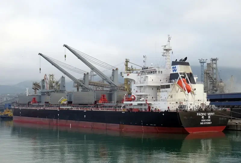 PACIFIC MERIT Bulk Carrier IMO 9731987 photo 2