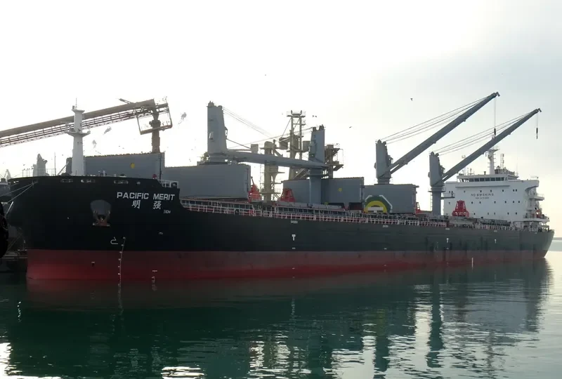 PACIFIC MERIT Bulk Carrier IMO 9731987 photo 3