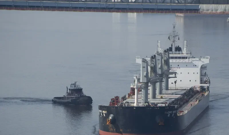 PACIFIC MERIT Bulk Carrier IMO 9731987 photo 7