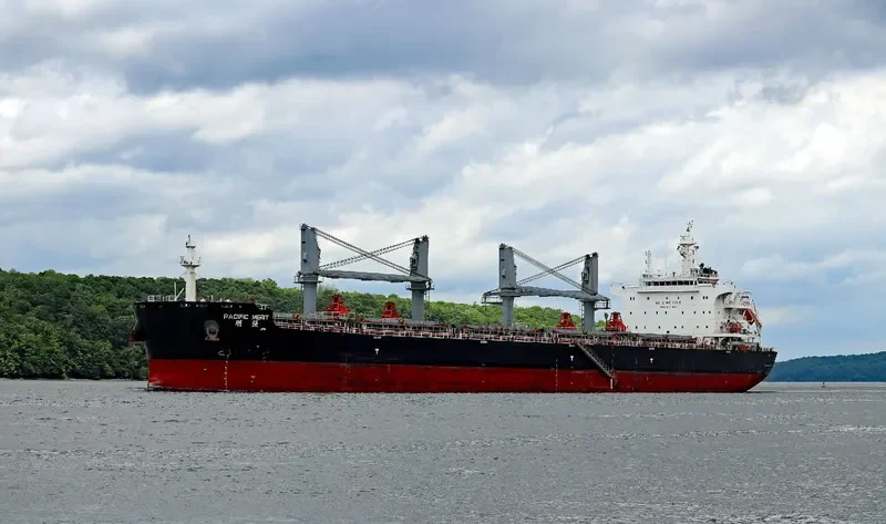 PACIFIC MERIT Bulk Carrier IMO 9731987 photo 10