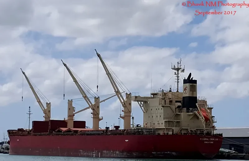 FEDERAL CRIMSON Bulk Carrier IMO 9732151 photo 2