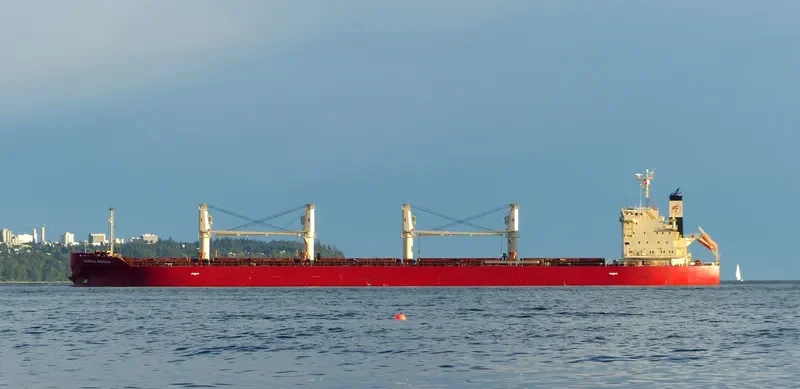 FEDERAL CRIMSON Bulk Carrier IMO 9732151 photo 9
