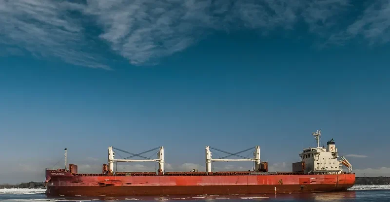 FEDERAL CARDINAL Bulk Carrier IMO 9732163