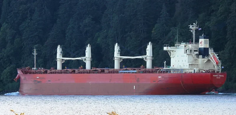 FEDERAL CARDINAL Bulk Carrier IMO 9732163 photo 2