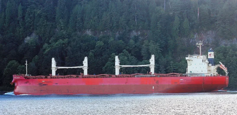 FEDERAL CARDINAL Bulk Carrier IMO 9732163 photo 3
