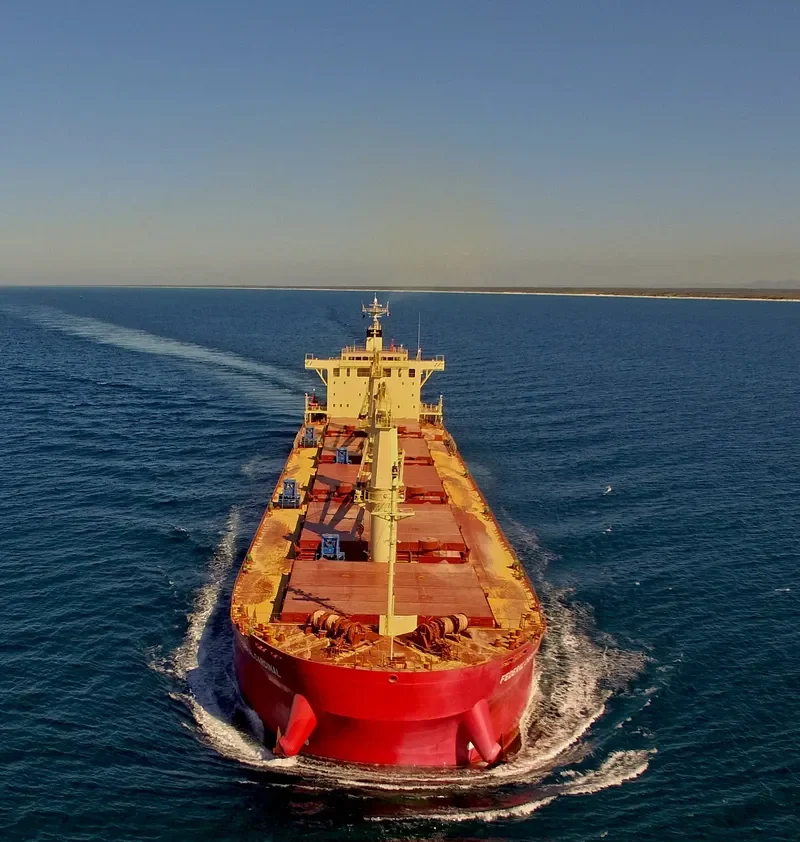 FEDERAL CARDINAL Bulk Carrier IMO 9732163 photo 4