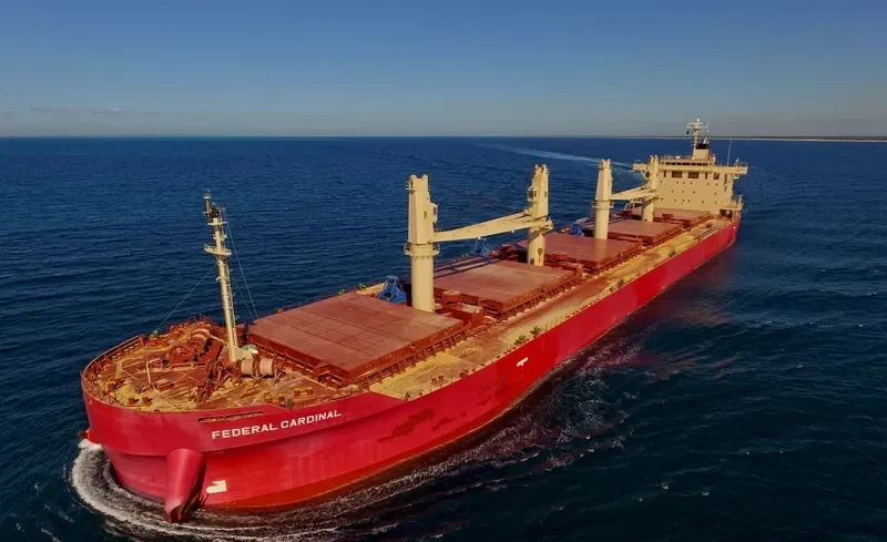 FEDERAL CARDINAL Bulk Carrier IMO 9732163 photo 5