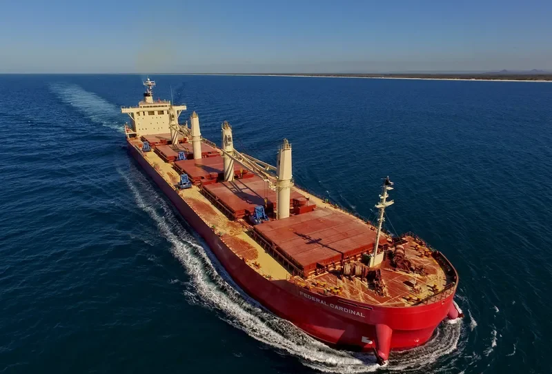 FEDERAL CARDINAL Bulk Carrier IMO 9732163 photo 6