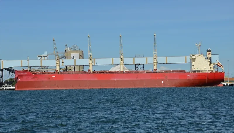 FEDERAL CARDINAL Bulk Carrier IMO 9732163 photo 7