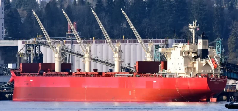 FEDERAL CARDINAL Bulk Carrier IMO 9732163 photo 8