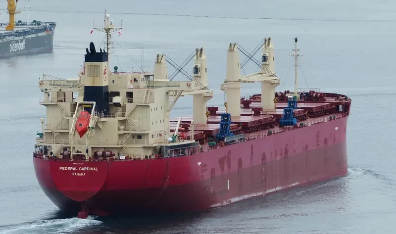 FEDERAL CARDINAL Bulk Carrier IMO 9732163 photo 9