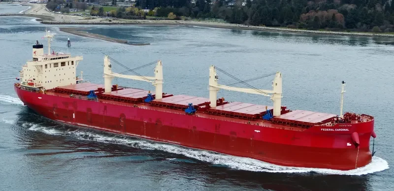 FEDERAL CARDINAL Bulk Carrier IMO 9732163 photo 10