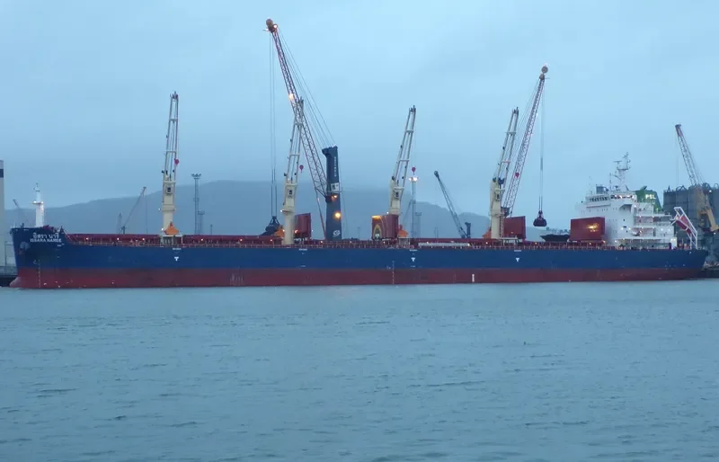 ISSARA NAREE Bulk Carrier IMO 9732187 photo 6
