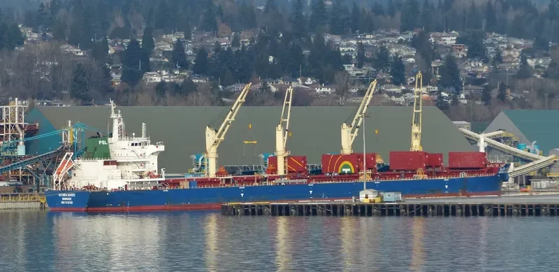 INTHIRA NAREE Bulk Carrier IMO 9732199 photo 4