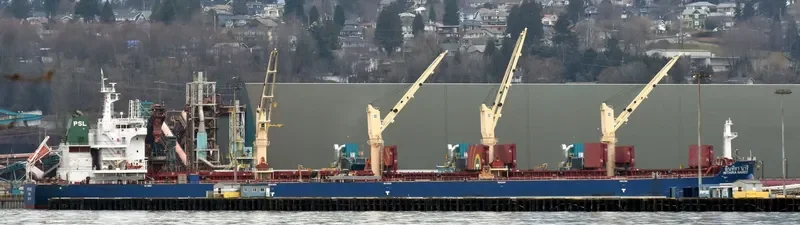 INTHIRA NAREE Bulk Carrier IMO 9732199 photo 6