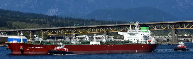 PACIFIC TREASURES Tanker IMO 9732242 photo 2