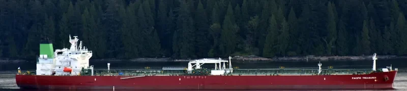 PACIFIC TREASURES Tanker IMO 9732242 photo 5