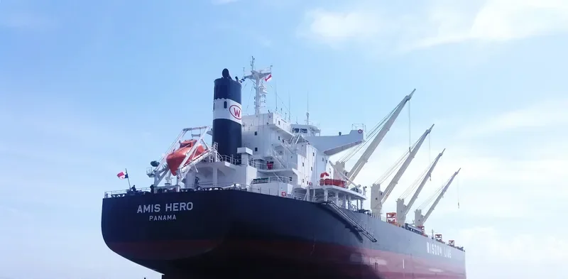 AMIS HERO Bulk Carrier IMO 9732400 photo 5