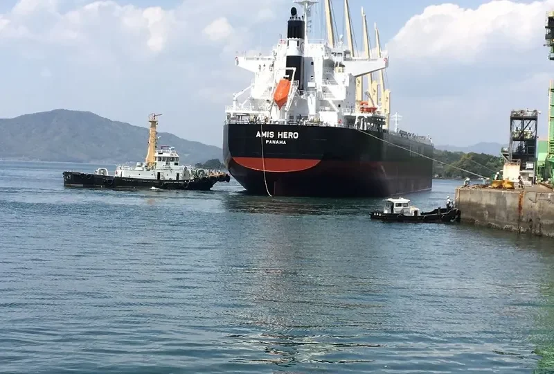 AMIS HERO Bulk Carrier IMO 9732400 photo 6