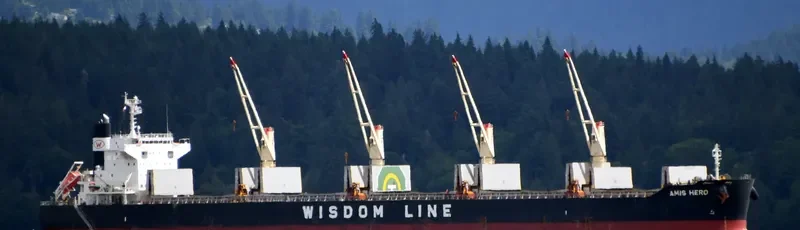 AMIS HERO Bulk Carrier IMO 9732400 photo 10