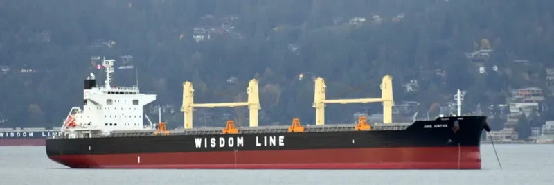 AMIS JUSTICE Bulk Carrier IMO 9732424