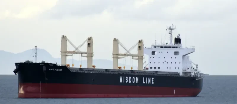 AMIS JUSTICE Bulk Carrier IMO 9732424 photo 2