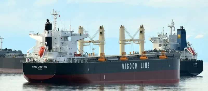 AMIS JUSTICE Bulk Carrier IMO 9732424 photo 3