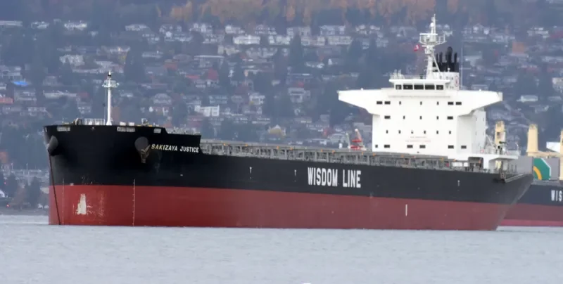 AMIS JUSTICE Bulk Carrier IMO 9732424 photo 4