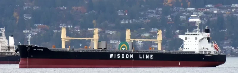AMIS JUSTICE Bulk Carrier IMO 9732424 photo 5