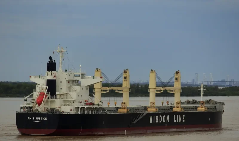 AMIS JUSTICE Bulk Carrier IMO 9732424 photo 6