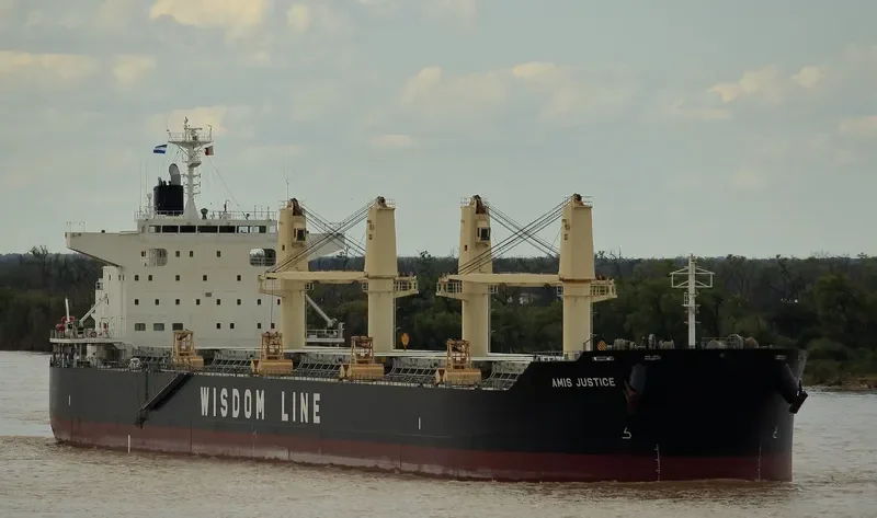 AMIS JUSTICE Bulk Carrier IMO 9732424 photo 7
