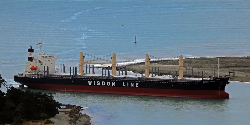 BUNUN INFINITY Bulk Carrier IMO 9732436 photo 4