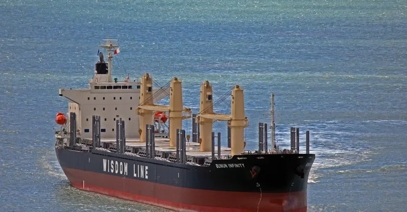 BUNUN INFINITY Bulk Carrier IMO 9732436 photo 5