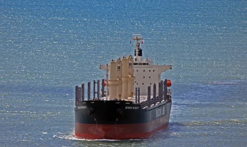 BUNUN INFINITY Bulk Carrier IMO 9732436 photo 6