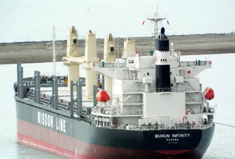 BUNUN INFINITY Bulk Carrier IMO 9732436 photo 8