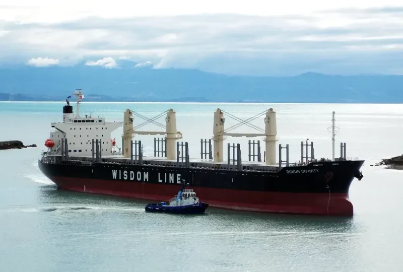 BUNUN INFINITY Bulk Carrier IMO 9732436 photo 9