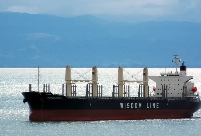 BUNUN INFINITY Bulk Carrier IMO 9732436 photo 10