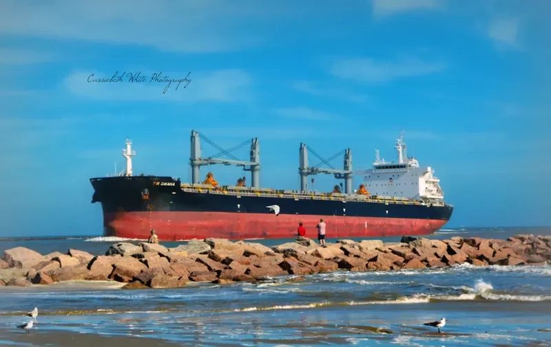JABAL ALKAWR Bulk Carrier IMO 9732943 photo 3