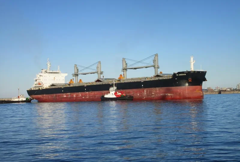 JABAL ALKAWR Bulk Carrier IMO 9732943 photo 6
