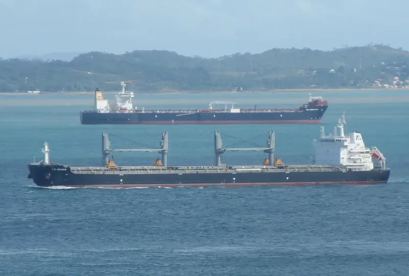 JABAL ALKAWR Bulk Carrier IMO 9732943 photo 8