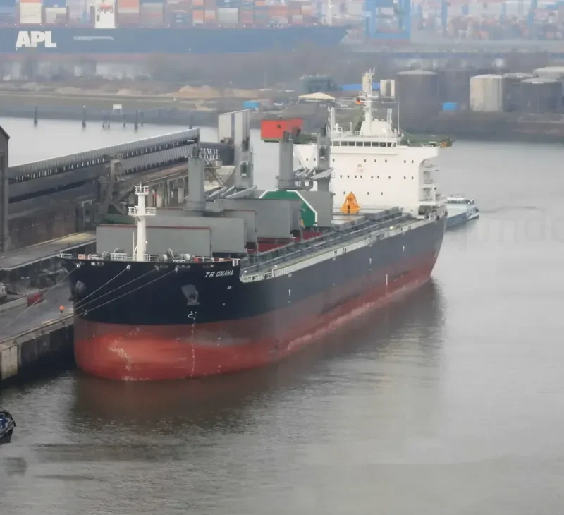 JABAL ALKAWR Bulk Carrier IMO 9732943 photo 9