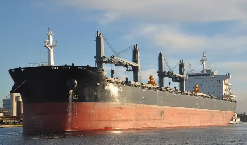 SUNRISE JADE Bulk Carrier IMO 9732955 photo 2