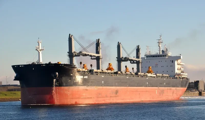 SUNRISE JADE Bulk Carrier IMO 9732955 photo 3