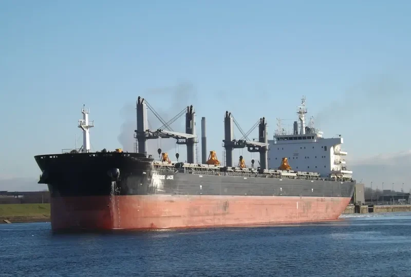SUNRISE JADE Bulk Carrier IMO 9732955 photo 7