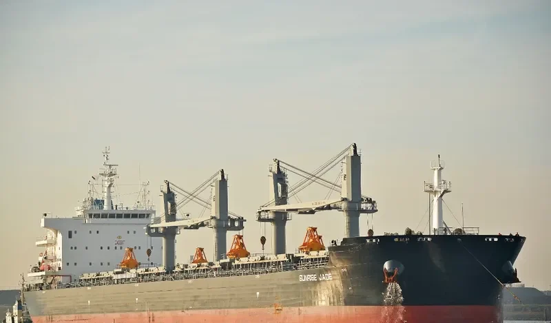 SUNRISE JADE Bulk Carrier IMO 9732955 photo 8