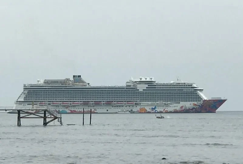 GENTING DREAM Passenger Ship IMO 9733105 photo 2