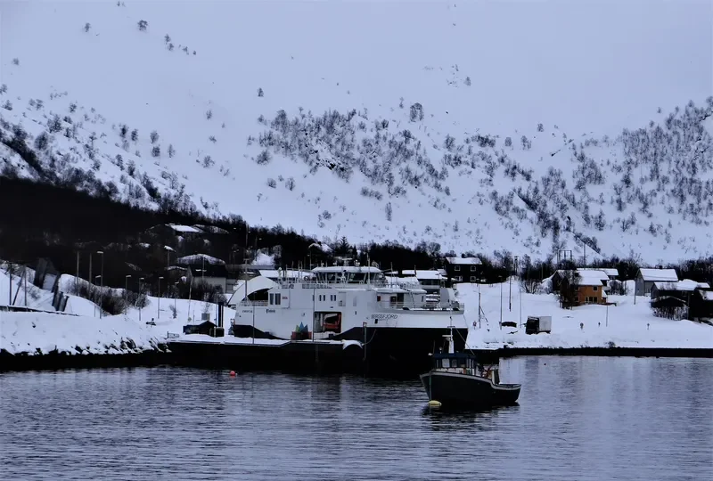 BERGSFJORD Ro-Ro IMO 9733155 photo 8
